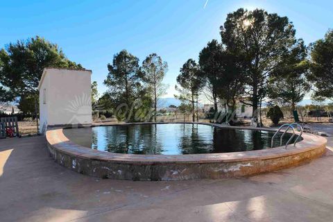 Landejendom i Yecla, Murcia, Yecla - € 185.000 | Ref: SF0522 - foto 17
